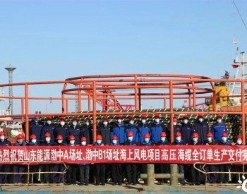 <em>山东能源</em>渤中海上风电项目最后批次海缆圆满交付
