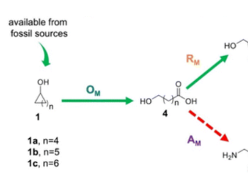 多酶生物催化级联作为从相应环烷醇合成α,ω-二胺的<em>途径</em>