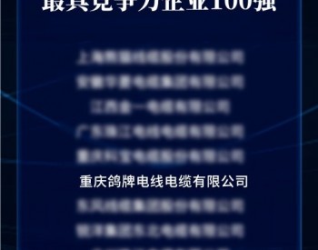 鸽牌再度荣登2022年中国线缆产业最具<em>竞争力</em>企业50强！