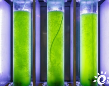 研究发现一种微生物利用太阳能、二氧化碳和水制造<em>生物燃</em>料的技术
