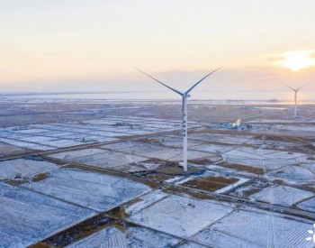 重磅！中国石油风电项目首台风机在<em>吉林油田</em>正式并网发电