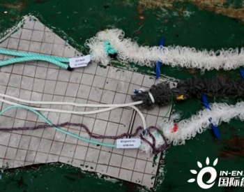 BIOGEARS开发用于贻贝和海藻养殖的生物基绳索！