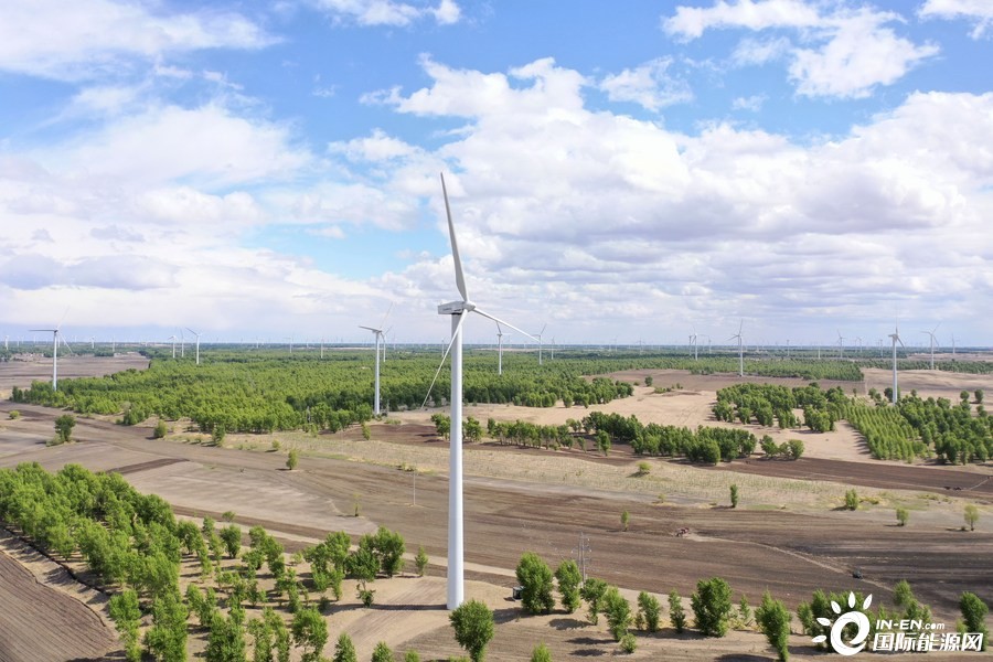 中国东北加速建设清洁能源基地助力低碳发展