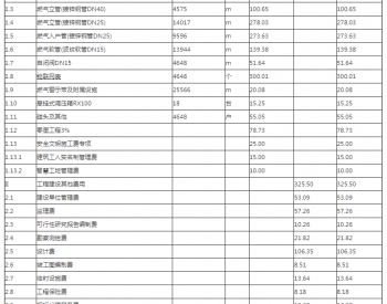關于湖北省咸寧市咸安區濱河路片區老舊燃氣管網設施更新改造工程初步設計的批復