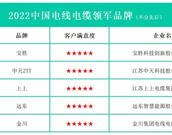 2022中国电线电缆领军品牌