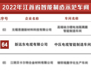 新<em>远东电缆</em>获评2022年江苏省智能制造示范车间