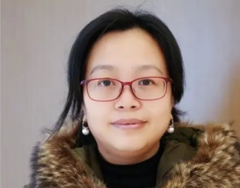湖北省政協委員古莉華：湖北頁巖氣的開發利用大有可為
