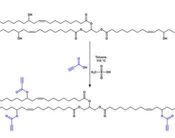 丙炔酸蓖麻油:一种新型通用的生物基平台，用于无催化剂和溶剂的胺基-炔点击反应