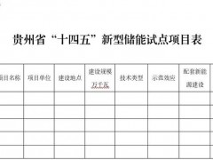 贵州发布：关于申报“十四五”新型储能试点项目的通知