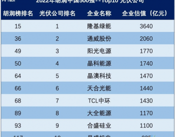 2022年胡润<em>中国500强</em>——Top10 光伏公司