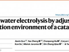 <em>天津大学</em>学者最新成果，实现工业级“海洋绿氢”！