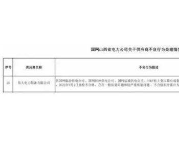 英大<em>电力装备</em>有限公司因多次质量问题被通报
