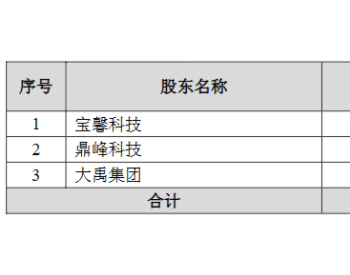 <em>宝馨科技</em>设立钙钛矿-异质结子公司，预计四年半内实现量产