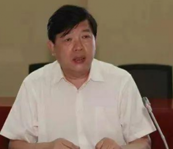 国家能源投资集团原副总经理李东被查！