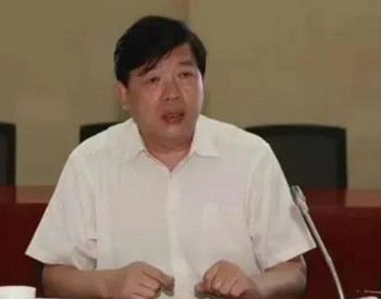 国家能源集团原副总经理李东被查！