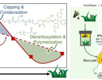 混合食品和木质纤维素绿色废弃物水热液化中出现的化学行为