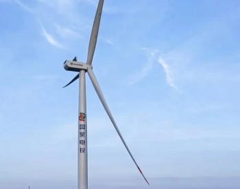 山东首个平价海上风电项目全容量并网，国家电投