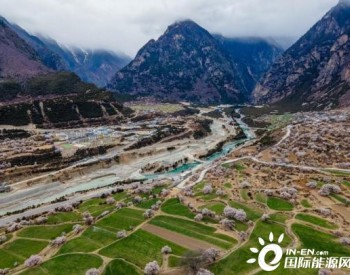 西藏国土绿化成效显著 高原绘就生态画卷
