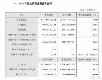 <em>固德威</em>去年营收47.13亿同比增76%，净利6.52亿同比飙升133.4%