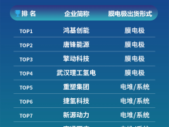 2022年中國<em>氫燃料電池</em>膜電極出貨TOP10