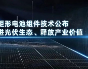 倡<em>统一</em>尺寸，建共赢生态：天合光能全面公开210R解决方案