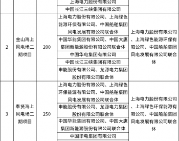 中标 | 申能、<em>上海电力</em>等联合体中标！上海800MW海上风电项目竞配结果公示