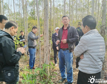 广东河头镇加速推进100MW风电项目建设