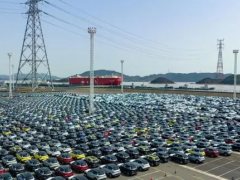 超2000辆 浙江宁波舟山港最大批次出口新能源汽车