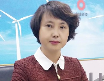 中材科技刘锦帆：以<em>新能源装备</em>制造产业助推低碳转型