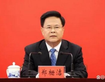 <em>郑栅洁</em>任国家发改委主任，曾多次对干部作风提要求