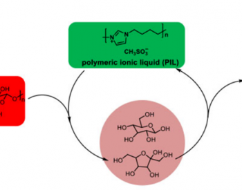 酸性聚合物离子液体催化生物质水解制备乙酰丙酸
