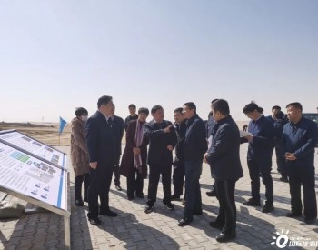 国家能源局领导赴内蒙古库布其大基地项目调研