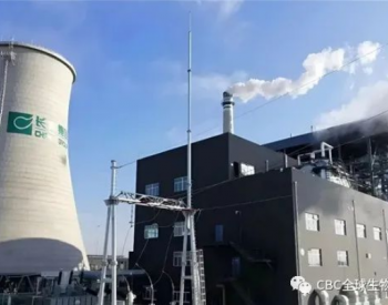 年吞秸秆35万吨，发电2.8亿度 黑龙江宾县<em>生物质热电联产项目</em>投产