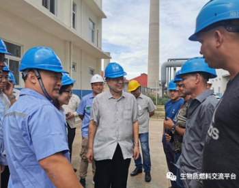 驻古巴大使马辉考察中英古合作项目古巴西罗雷东多生物质发电厂