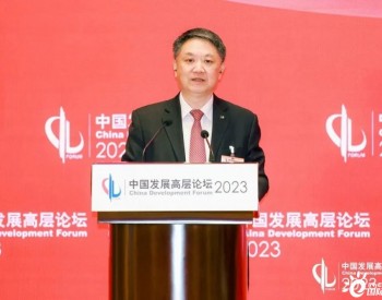温枢刚参加中国发展高层论坛