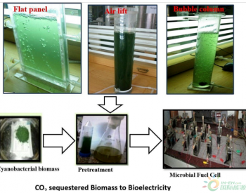 <em>蓝藻</em>生物质的预处理，用于生产微生物燃料电池中的生物燃料