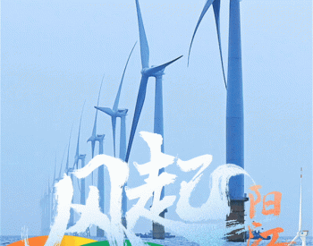 从无到有、从小到大、从大到强！广东阳江海上风电产业发展大事记