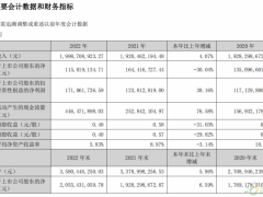 钠电巨头4.5GWh项目正式投产，2022净利下跌3成！