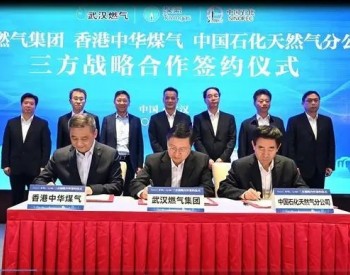 國企“牽手”央企外企，湖北省武漢市天然氣供氣“一張網”格局初顯