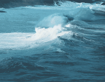 如何靠海浪进行发电？
