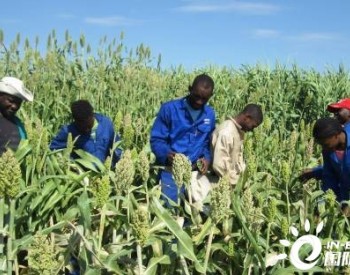 节水和核技术相结合有助于提高<em>纳米比亚</em>农民的生产力和收入