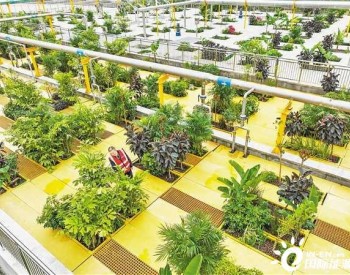 重庆首个花园式污水处理厂投用