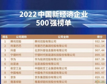 2022中国新经济企业<em>500强</em>发布 隆基绿能首进前十
