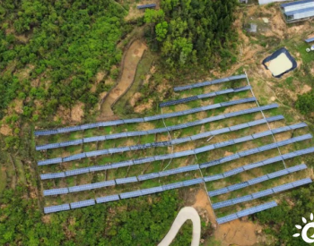 三峡库区首个“风光农（林）互补”新能源项目：大