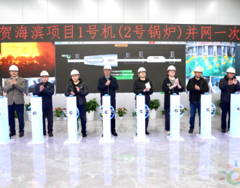 上海浦<em>东海</em>滨资源再利用中心项目首条线正式并网发电