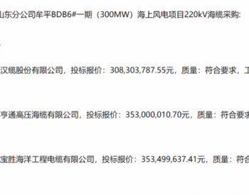 中標 | 三峽能源300MW海上風電項目候選人公示