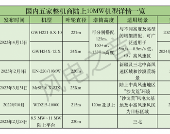 陆上大时代：10MW+大风机争的是什么？