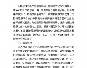 关于向社会征求《广东湛江市鼓励地方<em>国有企业</em>参与新能源项目开发工作的指导意见（试行）（征求意见稿）》意见建议的公告