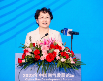 国际燃气联盟主席李雅兰：中国<em>燃气行业</em>是全球行业发展的重要动力