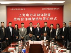 达成氢能等领域合作，<em>上海电力</em>与林洋能源签署战略合作框架协议